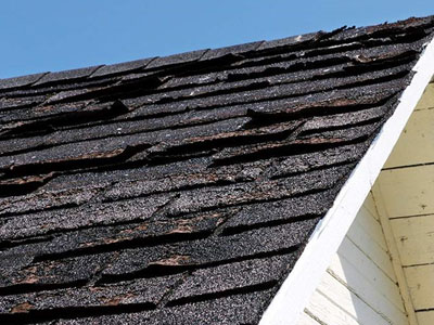 Above The Rest Roofing Images