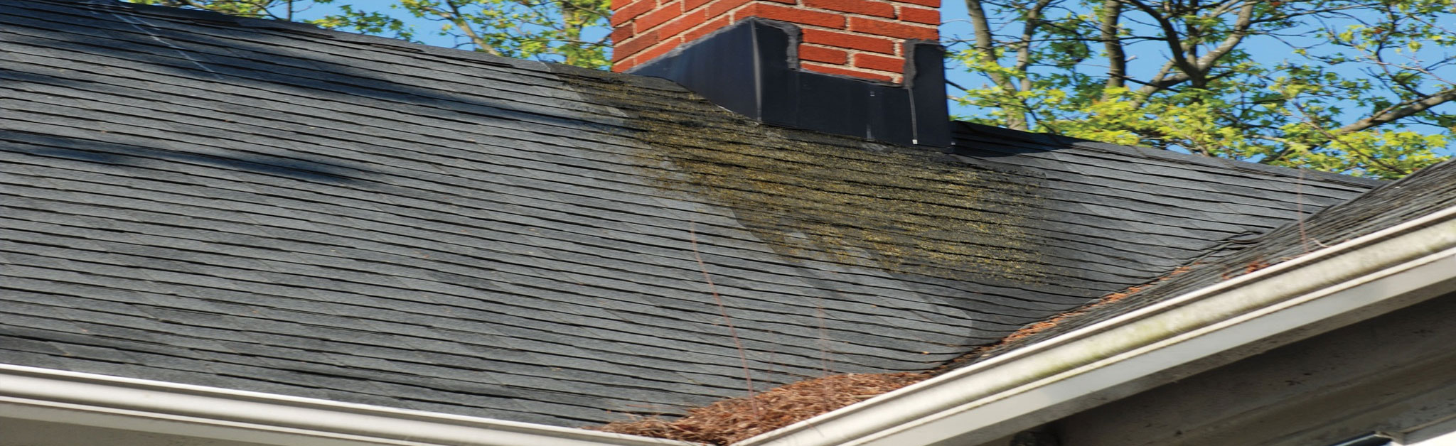 Above The Rest Roofing Images