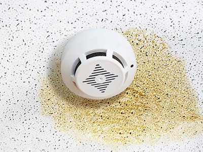 Above The Rest Roofing Images